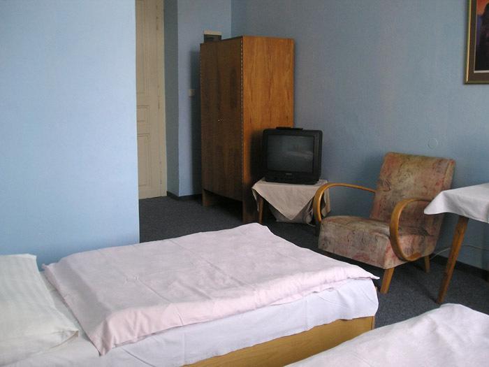 Hotel Dvorak Chrast Kültér fotó