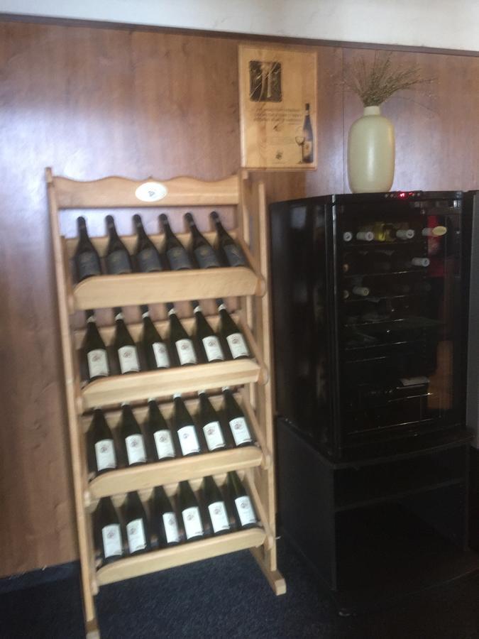 Hotel Dvorak Chrast Kültér fotó