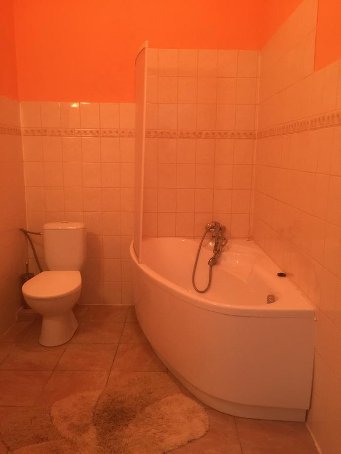 Hotel Dvorak Chrast Kültér fotó