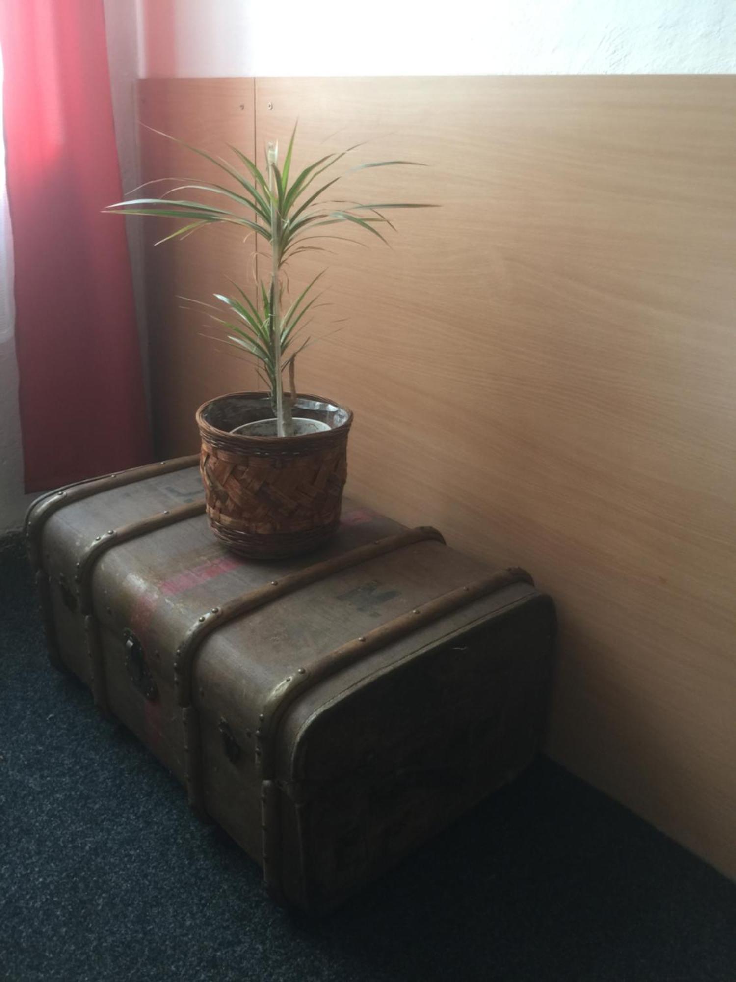 Hotel Dvorak Chrast Kültér fotó