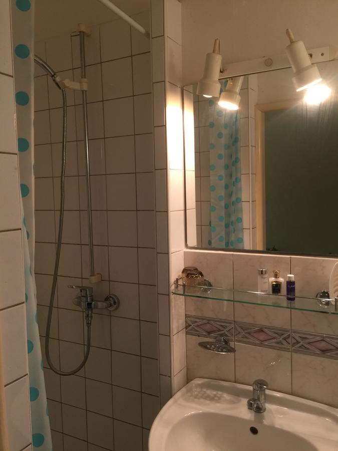 Hotel Dvorak Chrast Kültér fotó
